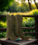It's giving western. Timeless snip toe and classic cowgirl silhouette. Meet Emma Jane in Olive Suede.

Heel Height: 1.5"
Shaft Height: 13"
Calf Circumference: 14"
Ankle Circumference: 12"
Toe Shape: Snip
Signature Turquoise Soles