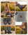 enlarge the image in the bottom middle and expand it to fill up the 1069 x 1280 space while preserving aspect ratio
