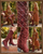 Make a statement in every step with these bold, handcrafted western boots—where classic cowgirl style meets elevated, artisan detail.

Crafted from premium black leather, these boots feature intricate contrast stitching in a feather-inspired pattern that flows across the shaft and vamp, delivering timeless western character with a refined edge. The sleek pointed toe and angled heel create a flattering, feminine silhouette that’s both versatile and striking.

What truly sets this pair apart is the ornate vertical overlay panel, adorned with hand-set metal studs and rich red stone accents. A signature Double D Ranch medallion charm drapes elegantly from the panel, adding movement and a collectible, heritage-inspired touch.

At the back, a contrasting textured leather heel counter with a spotted, exotic finish brings unexpected dimension and standout style. A side zipper ensures easy on-and-off without compromising the clean, classic profile.

Perfect for pairing with dresses, denim, or statement looks, these boots embody western tradition with a bold, fashion-forward spirit.

Details:

Premium black leather construction

Intricate contrast western stitching

Studded overlay with red stone embellishments

Signature medallion charm detail

Textured heel counter for added contrast

Side zipper closure

Pointed toe & stacked heel

Confident. Detailed. Unmistakably cowgirl.