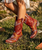 The Old Gringo Red Apache Stitch boots are beautifully handcrafted with southwest inspiration in mind. You'll love the pops of color, the shorter shaft, and the soft red leather on these unique cowgirl boots. The Apache Stitch Boots are great for any Season. Pair them with your favorite sundress in the Spring and Summer, then toss them on with jeans during the cooler months. 

Measurements:

Shaft Height - 10"
Shaft Opening - 14"
Heel Height -1.75" 
Toe - Snip