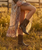Double D Ranch Roughneck Rodeo Boot – Chocolate

Well-Oiled. Well-Heeled. Unforgettable.

Created alongside Double D Ranch's 2026 Roughneck Rodeo Collection, this stunning ankle boot embodies confidence, character, and unmistakable Western luxury. Rich chocolate waxy leather sets the stage for striking crocodile-inspired overlays, hand-finished contrast leathers, and intricate decorative stitching that showcase exceptional craftsmanship from every angle.

A sleek 9.5-inch shaft is accented with carefully placed studding and layered leather details, while the signature gold-tone metallic heel adds an unexpected touch of glamour that's sure to turn heads. Whether you're dressing up your favorite denim or pairing them with a flowing dress, these boots deliver bold style with effortless sophistication.

Built for the woman who isn't afraid to stand out, the Roughneck Rodeo Boot proves that true Western style is all about confidence.

Details
? Color: Chocolate
? Premium waxy leather construction
✨ Crocodile-inspired overlays and underlays
? Decorative contrast stitching
⭐ Hand-applied metal stud detailing
? Approximately 9.5-inch shaft height
? Classic 4Long toe
? Signature 9964 gold-tone metallic heel
?? Designed alongside the Double D Ranch 2026 Roughneck Rodeo Collection

Please Note: Each pair is crafted using premium natural leather. Variations in color, grain, texture, and distressing are part of the authentic character of the leather, making every pair beautifully unique.
