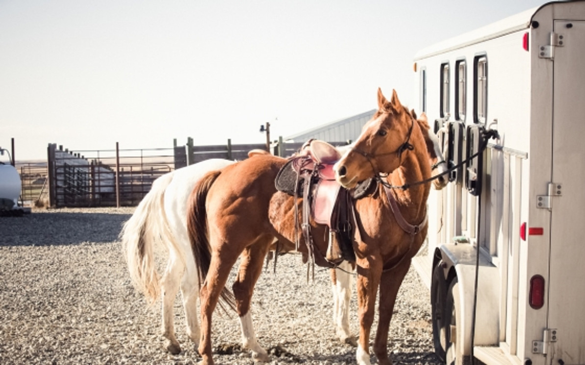 Comprehensive Guide to Horse Trailer Maintenance and Safety