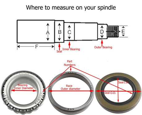 Spindle Diagram