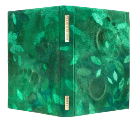 Green Mansions by W.H. Hudson, Unique Fine Binding by Richard Tuttle