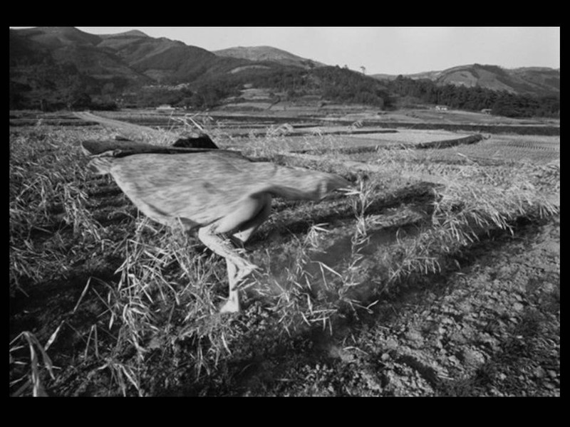 Eikoh Hosoe: Kamaitachi #27,  Signed and Framed Silver Gelatin Print