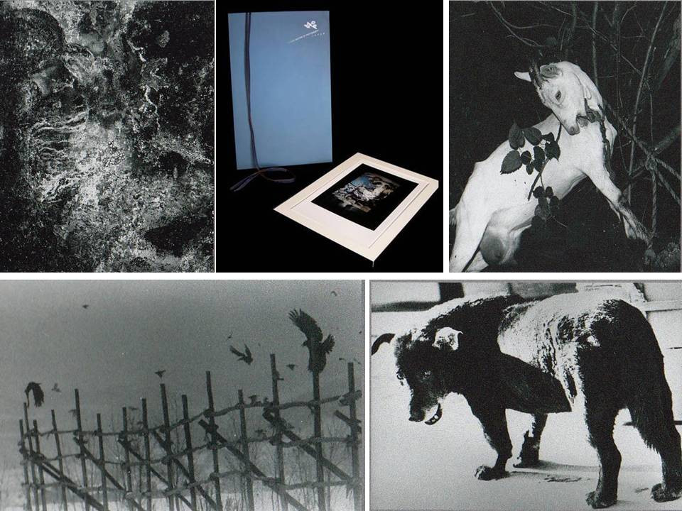 Modern Masters of Photography Japan, Portfolio of 12 Signed Prints