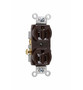 Pass ; Seymour CR15 Double Pole Straight Blade Duplex Receptacle; Wall Mount, 125 Volt AC, 15 Amp, Brown