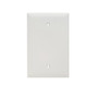 Pass ; Seymour TPJ13-W tradeMaster ; 1-Gang Jumbo-Size Mounted Blank Wallplate