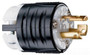 Pass ; Seymour PSL515-P Turnlok ; Locking Plug; 15 Amp, 125 Volt AC, 2-Pole
