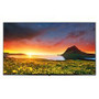 LG Pro 50UR770H9UA UR770H Series 50" Pro:Centric Ultra HD Smart TV