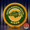 NDSU Bison Custom Globe