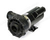 Sundance Spas 6500-131 Spa Pump - 1 Speed, 2 HP, 4 Brake HP