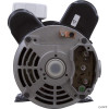 Sundance Spas 6500-261, 6500-761 Spa Pump - 2 Speed 2.5 HP,  4.2 Brake HP