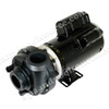 Sundance Spas 6500-257, 6500-757 Spa Pump - 2 Speed, 2 HP, 4.0 Brake HP Wet End at 12 o'clock Position