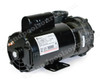 Sundance Spas 6500-903 One Speed Spa Pump Fits 2005-2009 Sundance® 880 Series / Jacuzzi ® J-400 Series Includes FREE Orings