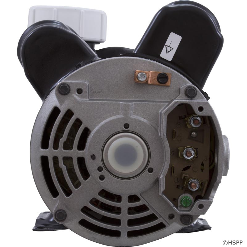 Sundance Spas 6500-257, 6500-757 Spa Pump - 2 Speed, 2 HP, 4.0 Brake HP Wet End at 12 o'clock Position