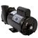Sundance Spas Waterway Executive Spa Pump: 3721621-13, 4 HP 2 Speed 2 1/2" Intake 2" Discharge 56 Frame 230 Volt Pump
