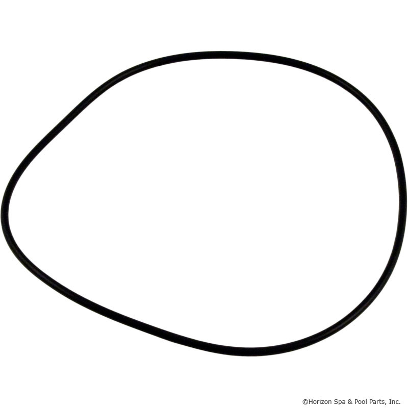 Sundance Spas 6500-808, Front Housing Oring Vico