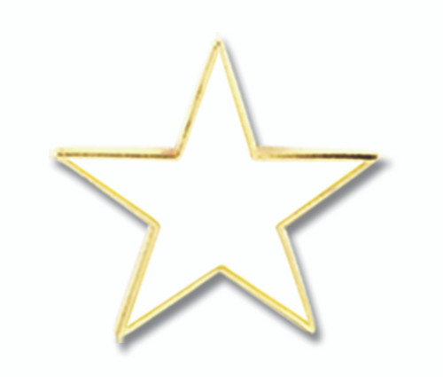 HONOR STARS Pin, ROTC