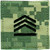 ROTC Rank - Staff Sergeant - OCP w/hook - 2 x 2"