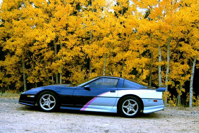 1985 Custom Coupe - Ralph G. - Gilcrest, CO