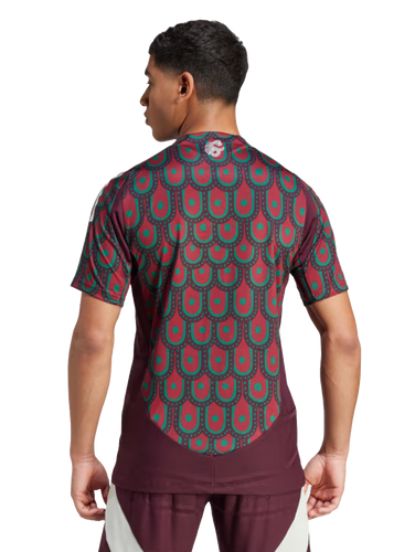 Mexico 2024 Authentic Men's Home Shirt