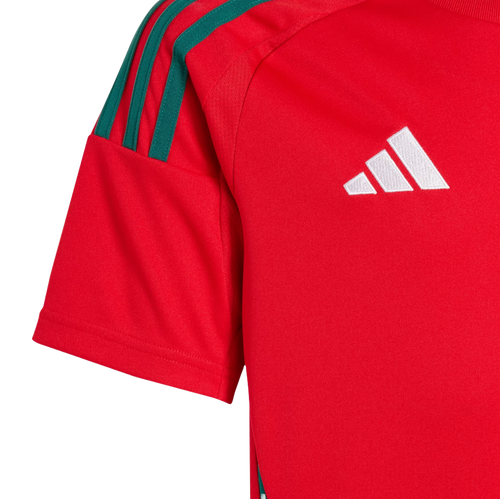 Wales 2024 Kid's Home Shirt and Shorts
