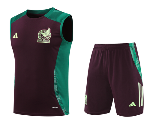 Mexico 2024 Men's Bordeaux Training Tank Top
