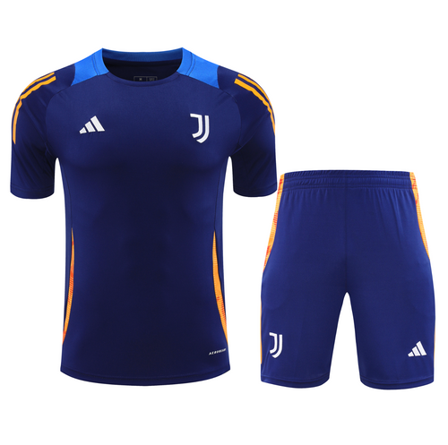 Juventus 24/25 Men's Navy Training Shirt