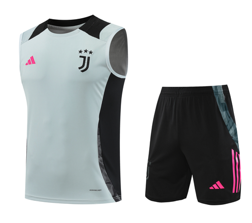 Juventus 24/25 Men's Gray Training Tank Top