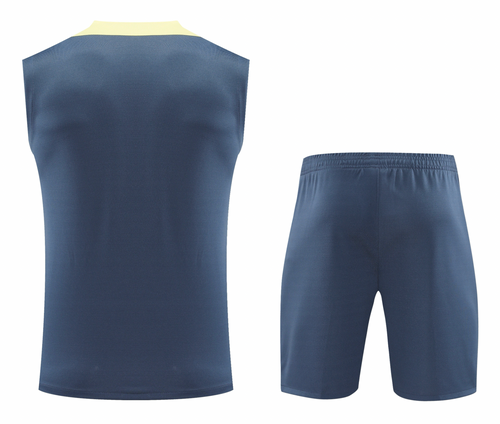 CF América 24/25 Men's Blue-Gray Training Tank Top