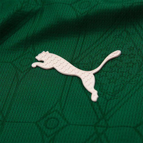 Palmeiras 25/26 Authentic Men's Home Shirt