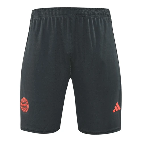 Bayern Munich 25/26 Men's Gray Training Tank Top