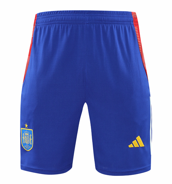 Spain 2024 Men's Light Blue Training Tank Top