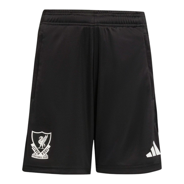 Liverpool 25/26 Men's European Training Shirt
