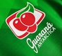 Brazil 20/21 Men's Green Pre-Match Training Retro Shirt