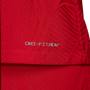 MAC ALLISTER #10 Liverpool 23/24 Authentic Men's Home Shirt - PL Font