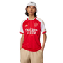 HAVERTZ #29 Arsenal 23/24 Stadium Men's Home Shirt - PL Font
