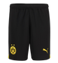 ADEYEMI #27 Borussia Dortmund 23/24 Authentic Men's Home Shirt