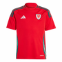 Wales 2024 Kid's Home Shirt and Shorts