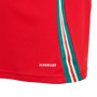 Wales 2024 Kid's Home Shirt and Shorts