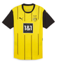 Borussia Dortmund 24/25 Authentic Men's Home Shirt