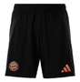 Bayern Munich 24/25 Authentic Men's Away Shirt