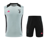 Juventus 24/25 Men's Gray Training Tank Top