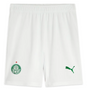 Palmeiras 25/26 Authentic Men's Home Shirt
