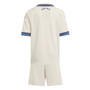 Ajax 25/26 Kid's Third Mini-Kit