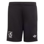 Liverpool 25/26 Kid's Black Goalkeeper Mini-Kit