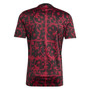 Liverpool 25/26 Men's Red-Black Pre-Match Shirt