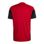Germany 2026 Men's Red Training Shirt