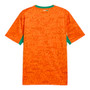 Ivory Coast 2026 Stadium Men's Home Shirt